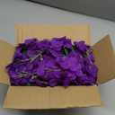 ZINHO 60 Branches Wisteria Hanging Flowers, Artificial Purple Wisteria Flowers Garland for Wedding Arch Ceremony Party Garden Home Backdrop Decor