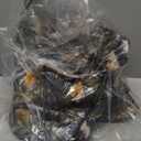 Legendary Whitetails mens Huntguard Softshell Jacket (Medium, Big Game 360)