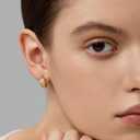18K Gold Plated Huggie Hoop Earrings for Women, 925 Sterling Silver Post, Hypoallergenic Small Earrings (Charlotte Pav Huggies)
