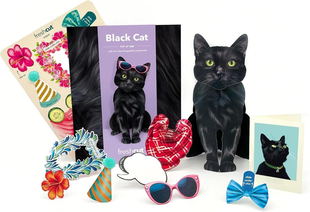 Freshcut Paper Pop Up Pet Cards, Gifts for Cat Lovers, Birthday Cards with Accessory Sheet, Note Card & Envelope, 3D Popup Greeting Card, Black Cat (Everyday)