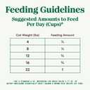 Nutro Wholesome Essentials Dry Cat Food, Adult Cat Food Dry Salmon & Brown Rice Recipe, 3 lb. Bag (3 Pound (Pack of 1))