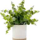 Coferset Small Fake Plants Eucalyptus Potted Artificial Plants Faux Plant Greenery in Ceramic Pot for Bedroom Kitchen House Living Room Shelves Farmhouse Table Office Desk Bathroom Home Indoor Decor