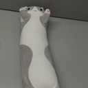 Cute Cat Plush Long Body Pillow Cuddle Cartoon Stuffed Animals Cat Plushie Soft Doll Pillows Gifts for Kids Girls (Gray, 19 Inches), 1 Count (Pack of 1)