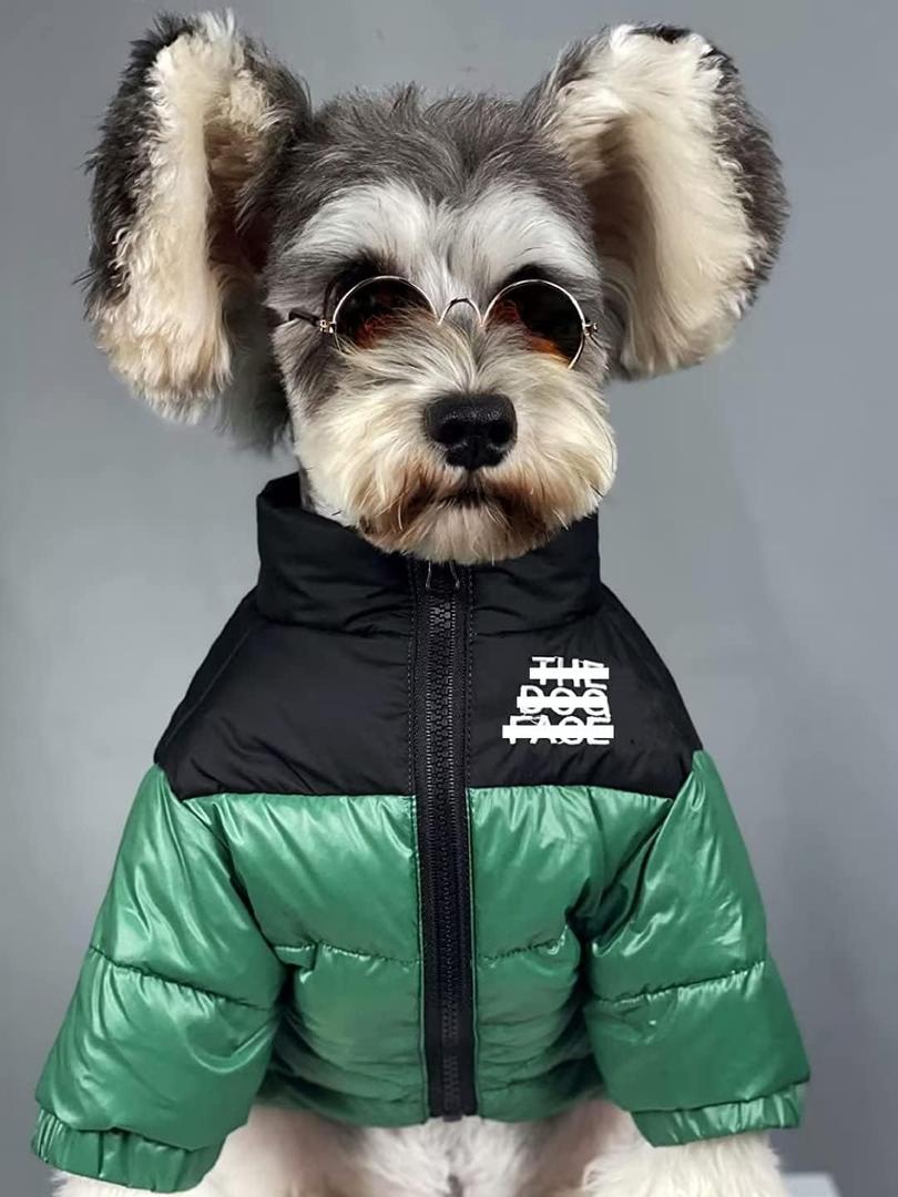 Dog Winter Coat Duck Down Jacket for Small Medium Dogs-Thicken Dog Coat Windbreaker Puppy Winter Clothes for Cold Weather Snowday (Green, Medium)