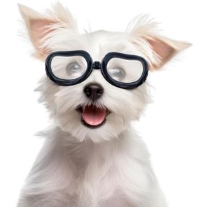 Enjoying Clear Dog Goggles Small Breed, UV Protection Dog Sunglasses Small Breed, Driving Puppy Eye Protection, Windproof Dustproof Anti-Fog, Breathable, Adjustable Straps, Transparent