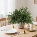 16Pcs Realistic Norfolk Pine Branches -18Inch Artificial Real Touch Christmas Pine Stems Picks Greenery Fake Cedar Pine Branch for Vase DIY Crafts, Xmas Indoor Outdoor Home Decor