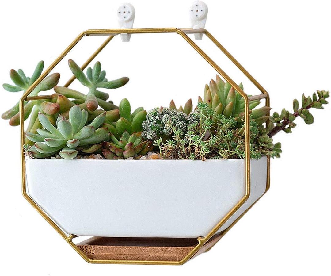 VanEnjoy 7" White Ceramic Wall Planters Vase and Copper, Drainage Hole with Bamboo Tray - Succulent Pot Air Plants Mini Cactus Artificial Flowers Hanging Geometric Hexagon Wall Decor (Gold Metal)