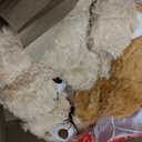 MorisMos 26 Pack Bulk Teddy Bears Stuffed Animals,14" Small Stuffed Bear