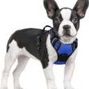 rabbitgoo Dog Harness No Pull with 2 Leash Clips, Adjustable Soft Padded, Reflective Oxford No Choke Pet Vest with Easy Control Handle for Small Dogs, Dazzling Blue, S