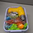 Elitoky Dinosaur Toys, Take Apart Dinosaur Toys for Kids, Educational Construction Building Sets with Electric Drill Storage Box - Birthday Gifts for Toddlers Boys Girls Age 3 4 5 6 7 8 Year Old