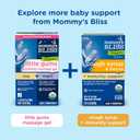 2 x Mommy's Bliss Infants' Pain and Fever Reducer, Baby Acetaminophen, Dye-Free Medicine, Infant Fever Reducer, Delicious Mixed Berry Flavor, Ages 2+, 2 Fluid Ounces