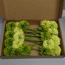 20Pcs Artificial Fake Flower Plants Silk Chrysanthemum Ball Hydrangea Arrangements Wedding Bouquets Decor Home Kitchen Garden Party Table Floral Centerpieces DIY (Dark Green&Green)