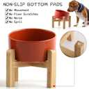 Petygooing Elevated/Raised 15Slanted Ceramic Dog Bowl for Small and Medium Breeds, Tilted Anti Slip Pet Feeding Bowl,Food Water Dish with Stand for Cats and Dogs (28 OZ/3.6 Cups) Rust Red