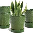 EFISPSS Ceramic Plant Pots, 5 Inch Planters with Drainage Holes and Ceramic Tray, Relief Design Flower Planter, Desktop Office Windowsill Decoration Gift Set of 4 - Blackish Green