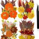 Nuanchu Fall Pressed Flowers Bulk Dried Flower for Crafts Autumn Orange Dried Wildflowers Natural Leave with Tweezer Fall Craft Supplies for Resin Mold Scrapbooking Nail Soap Making DIY Art Crafts (Vivid Color)