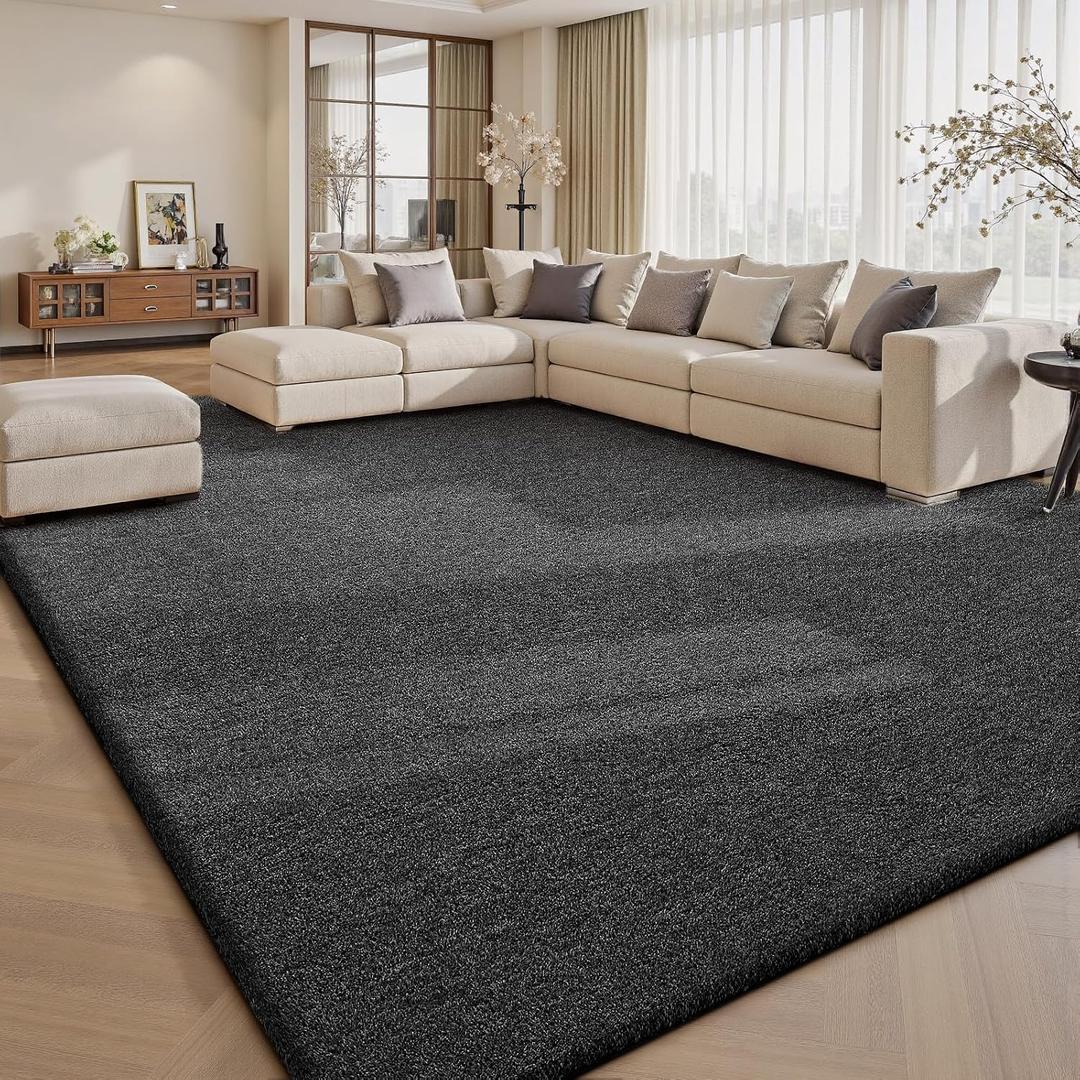 Sour Lemon 8x10 Area Rugs for Living Room Bedroom, Large Rug Carpet Grey