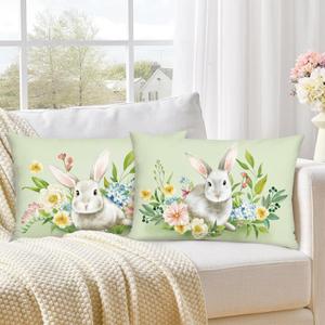 Bonhause Spring Easter Bunny Throw Pillow Covers Set Of 2