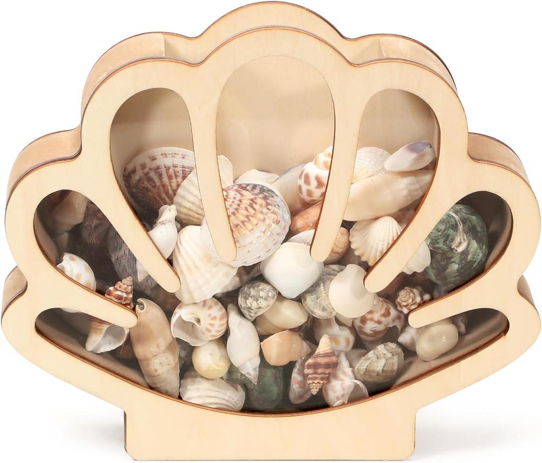 Xylolfsty Seashell Display Box Wooden Seashell Holder with Acrylic Panel Storage Box for Shells Sea Glass Small Starfish Shark Tooth Seashell Collection Box Home Decor Christmas Gift Birthday Present
