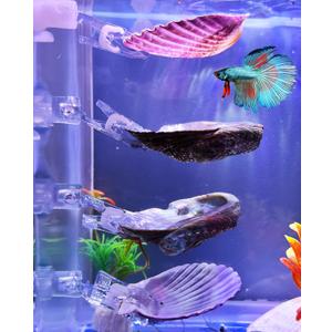 VCEPJH Betta Resting Spot 4 Pcs Shell Bed Toys for Aquarium Betta Hammock with Suction Cups Small Fish Natural Spawning Grounds Breeding Fish Tank Accessories Decorations (2 Pcs Scallops + 2 Pcs Oysters)