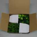 Der Rose 2 Pack Fake Plants Small Faux Artificial Small Potted Plants Indoor for Room Home Office Farmhouse Bathroom Decor (Green)