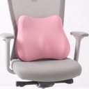 Lumbar Support Pillow, Ergonomic Memory Foam Back Cushion for Car Office Chair Gaming Chair, Washable Cool-Touch Cover for Lower Back Support (Pink)