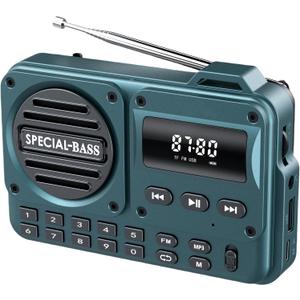 Pocket Radio FM USB-C Charging 2000mAh Rechargeable Excellent Reception Clear Speaker and Headphone Jack,LCD Screen,FM Radio for Walk/Jogging/Gym, Bluetooth/TF(NO AM) (Turquoise)