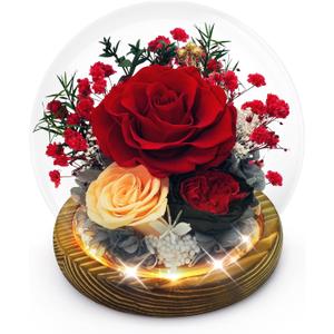 Preserved Flowers Birthday Gifts for Women Preserved Rose in Glass Dome Forever Fresh Flowers for Delivery Prime Red Eternal Rose Gifts for Her Valentines Day Anniversary for Wife Girlfriend