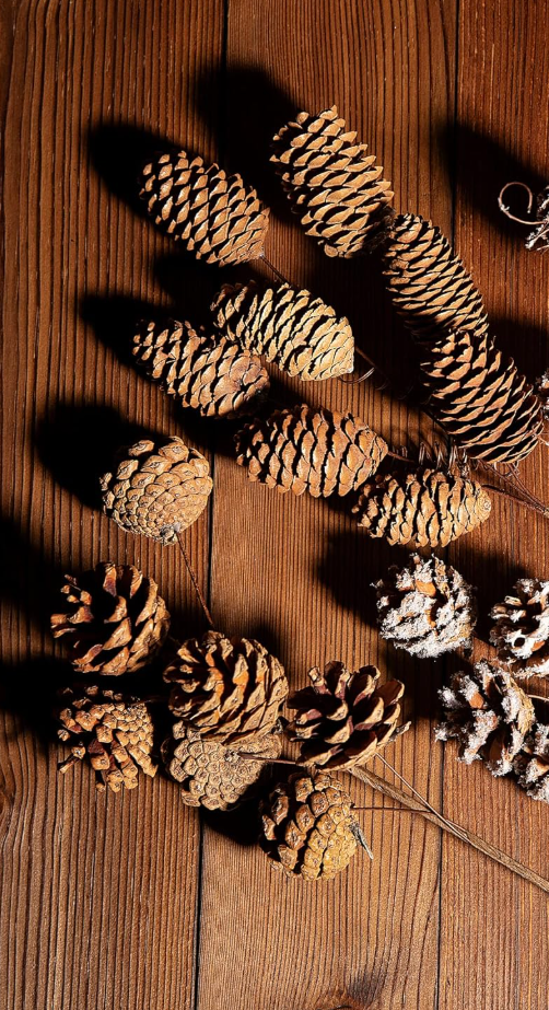 Deloky 2 PCS Large Natural Pinecone Branches Ornaments-14 Inch Spray Pinecones Picks Stmes-Pine Cones for Crafts Flower Arrangement Fall Thanksgiving Christmas Decor