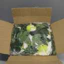 Sggvecsy 6Pcs 46.5Ft Artificial Rose Vine Fake Flower Garland Floral Garland Faux Silk Hanging Vine Rose Ivy Vines for Wedding Arch Party Wall Garden Ceremony Background Outdoor Decor (White)