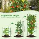 3 Pack Tomato Cages for Garden, Up to 55Inch Square Tomato Plant Cage, Upgraded Octagonal Connector, Heavy Duty Adjustable Tomato Stake Support for Garden Climbing Vegetables Flowers Fruits