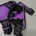rabbitgoo Dog Harness No Pull with 2 Leash Clips, Adjustable Soft Padded, Reflective Oxford No Choke Pet Vest with Easy Control Handle for Medium Sized Dogs, Purple, M