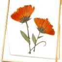 REDHUGO Glass Pressed Flower Frame Handmade, Floating Picture Frames for Pressed Flowers, Tabletop Artwork Photo Frames, Brass Desk Picture Frame for Home Office Plant Specimen, Gold, 8x10 Inches (8L" x 10W")