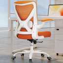 Ergonomic Office Chair - Home Office Desk Chairs Comfy, Computer Chair Ergonomic, Office Chairs with Lumbar Support, Executive Task Chair for Adults, Comfortable for Long Hours (Orange)