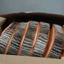 Unittype 6 Pcs Round Throw Pillow Wood Decorative Soft Circle Seating Tree Stump Pillow Floor Cushion Natural Wood Cushion 3D Digital Printing Forest Decor for Bedroom Living Room (Realistic)