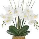 Hollyone 21.6" White Orchid Artificial Flowers Fake Orchid in Rattan Woven Vase Faux Orchids Phalaenopsis Arrangement in Pot for Office Table Centerpiece Shelf Wedding Indoor Outdoor Home Decor