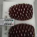 LUSHARBOR Pinecone Flameless Candles with Remote Timer, 2 Pack Real Wax Battery Operated LED Candles for Christmas Decorations, Rustic Holiday Table Centerpieces, Winter Home Décor Brown