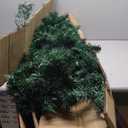 7 ft. Green PVC Hinged Xmas Pine Artificial Christmas Tree