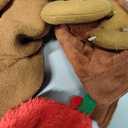 Aliceset 4 Pieces Cat Christmas Outfit with Collar Christmas Pet Costume Adjustable Christmas Cat Costumes Elk Reindeer Christmas Hat Cats Clothes Cute Cat Cape for Christmas Puppy Cat, 4 Designs