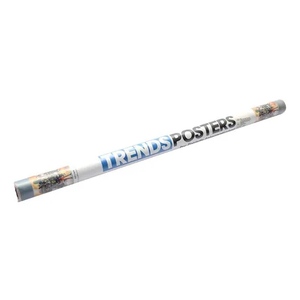 TrendsPosters 22.375" ×34" 4 pcs