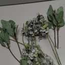 Mixed Eucalyptus Leaves Stems Bulk Artificial Eucalyptus Leaves Sprays Faux Oval Eucalyptus Leaves with White Seeds Stems for Floral Wreath Garland Bouquets Arrangement Wedding Greenery Decoration