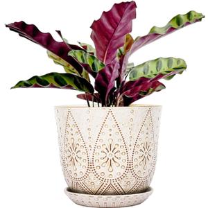 Gepege 8 Inch Plant Pot, Creamy White Ceramic Planter with Drainage Holes and Saucers for Plants Indoor and Outdoor Flower Pot