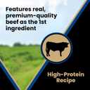 VICTOR Super Premium Dog Treats  Classic Hi-Pro Savory Strips with Real Beef  Supports Immune System, Digestive Health, & Healthy Coat  Tender Beef Snack for Active and Sporting Dogs, 14 oz (EXP 04/01/26)