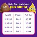Pull-Ups Girls' Potty Training Pants, Size 4T-5T Training Underwear (38-50 lbs), 99 Count (3 Packs of 33)