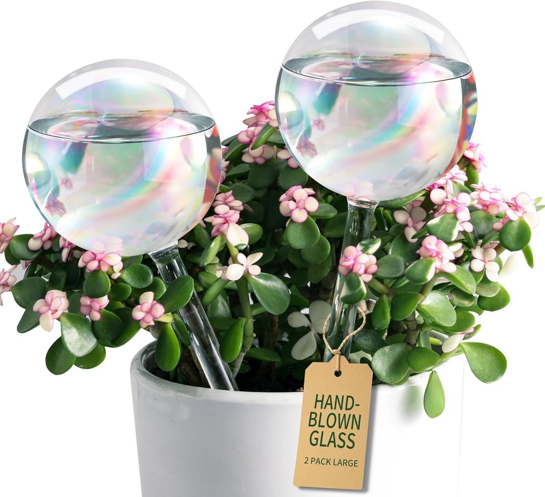 Large Extra-Thick Clear Glass Plant Watering Globes, Rainbow Gradient Self Watering Devices for Indoor & Outdoor Plants, AutomaticWaterer Spikes, Perfect for Daily or Vacation Use, 2-Pack