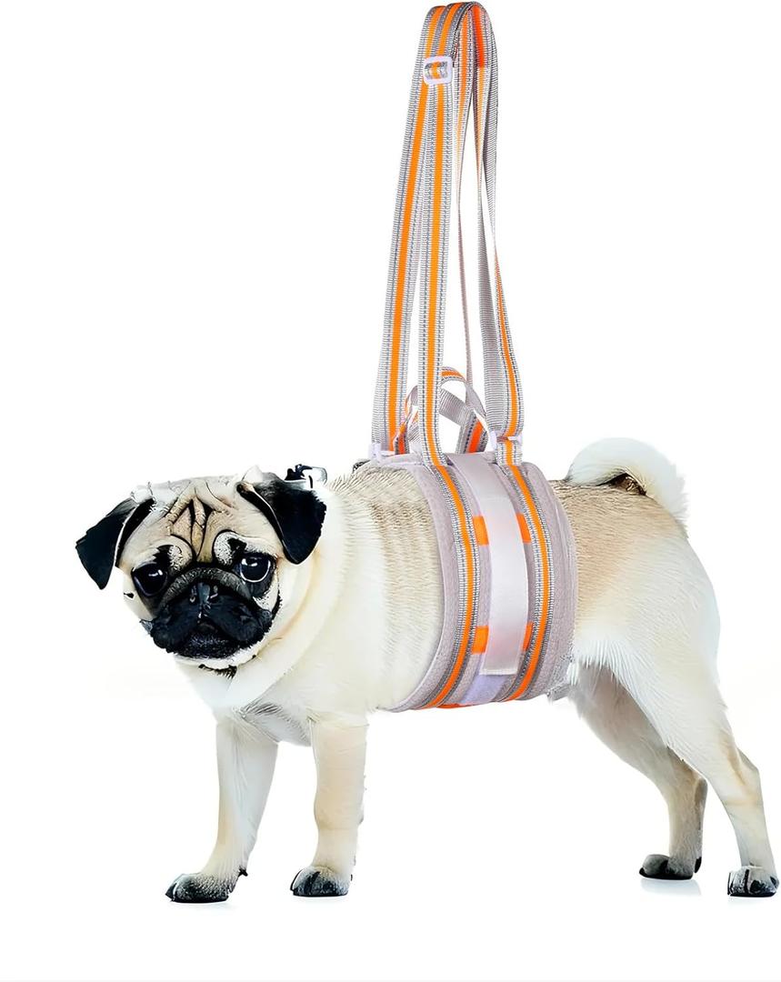 Portable Dog Lift Harness,Dog Sling for Small Dogs Hind Leg Support,Reinforcement Against bunching,Suitable for 8-24 lbs Dogs with Weak Rear Legs, Helps Senior, Injured, Disabled,After ACL Surgery,S