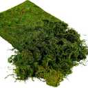 USMOLA Artificial Moss 16oz Fake Moss for Crafts, Fairy Gardens, Wedding & Party Decor, Centerpieces & Potted Plants (Fresh Green, 455g)