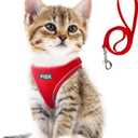 Fida Comfy Dog Harness with Leash, Cat Vest Harness Escape Proof, Breathable Lightweight Soft Mesh, Adjustable Reflective Step-in Harness for Puppy Toy Breeds & Extra-Small Pet (XXS, Red) (XXS (Neck:11.4"-12.2"; Girth:12.6"-14.2"))