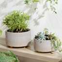 LE TAUCI Succulent Pots, 6.5+8 Inch Ceramic Indoor Plant Pot with Drainage Hole, Shallow Round Succulent Planters, Set of 2, Reactive Glaze Star White, 8x8x5 Inches