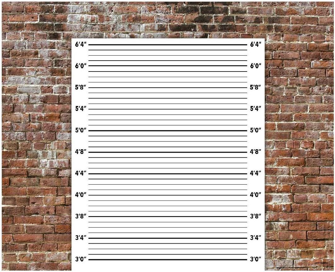 5 ft by 4 ft Cloth BrickPrint Photo Booth Backdrop Banner for Mugshot Signs! Quality Digitally Printed Image!