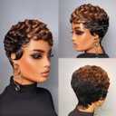 VCK Short Human Hair Wigs for Black Women Short Layered Human Hair Wigs Pixie Cut Wigs for Women Black Wigs Brazilian Remy Human Hair Glueless Full Machine Made Color 027#